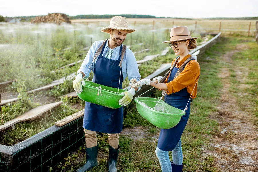 Creating better workplaces across farming industry in the USA, Canada, Uk and Europe