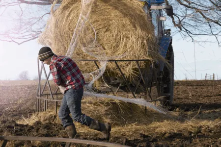 Creating better workplaces across farming industry in the USA, Canada, Uk and Europe